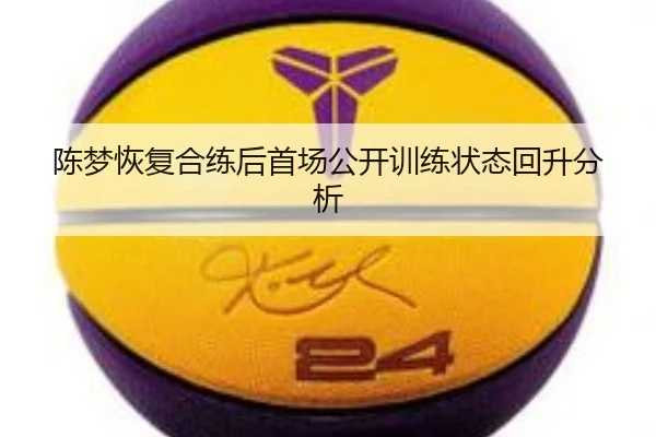 陈梦恢复合练后首场公开训练状态回升分析
